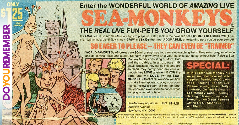 Sea Monkeys Pet or Toy? Do You Remember?