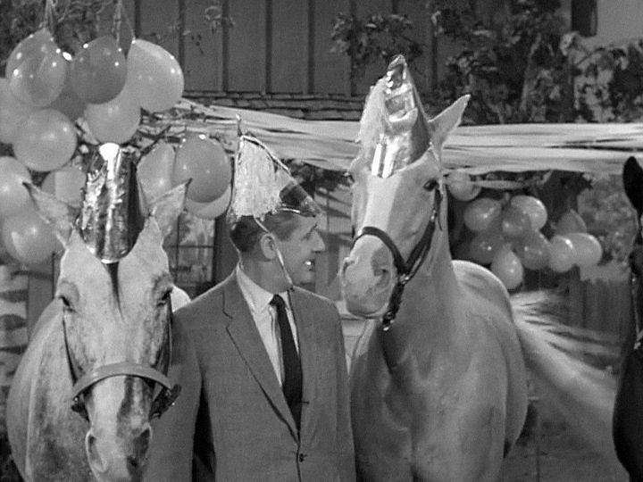 d5fbae9b499c753c7c4e2555c47b3971-mister-ed-horse-party.jpg